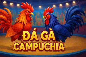 Đá Gà Campuchia G28 – Trải Nghiệm Cá Cược Đỉnh Cao